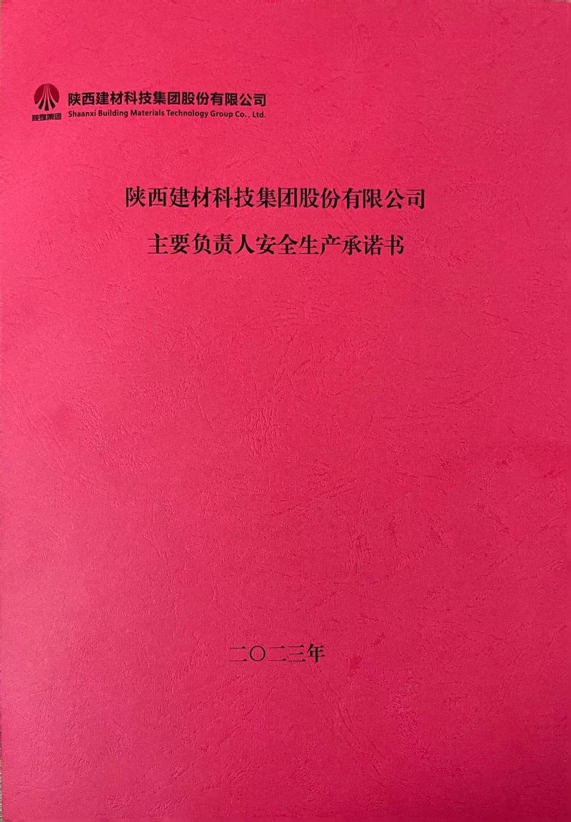 陕西建材科技集团股份有限公司主要负责人安全生产承诺书2